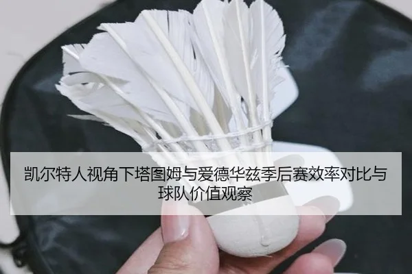 凯尔特人视角下塔图姆与爱德华兹季后赛效率对比与球队价值观察